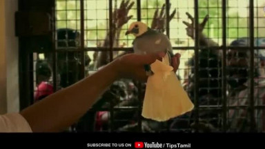Byri Official Trailer - Syed Majeed, Meghana - V. Durai Raj - John Glady - Arun Raj -Tamil New Movie