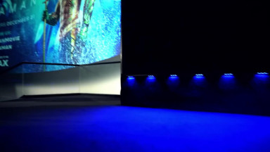 Aquaman   Fan Screening   Now Playing In Theaters