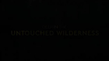 SASQUATCH SUNSET Official Trailer (2024)