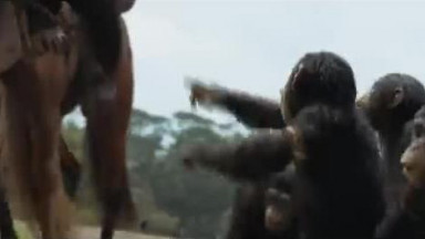 Kingdom of the Planet of the Apes   Final Trailer