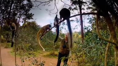 Island of Lemurs  Madagascar   TV Spot 2 [HD]