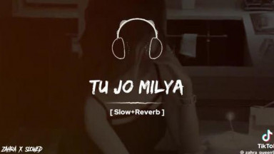 Tu Jo Milaya [SLOWED + REVERB]
