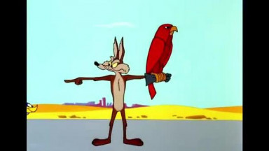 Looney Tunes   Road Runner Hunting   Classic Cartoon   WB Kids