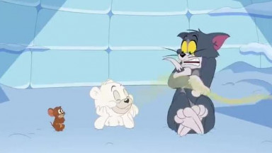 Tom et Jerry Show en Français    L'ours Domestique