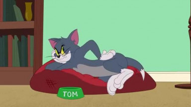 Tom et Jerry show en français   Tom et sa baballe