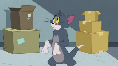 Tom et Jerry Show en Français    La Balle Dédicacée
