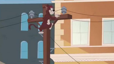 Tom et Jerry Show en Français    Tom et Jerry Gardes Du Corps