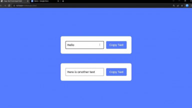 Copy To Clipboard From Input Element - HTML, CSS   Javascript