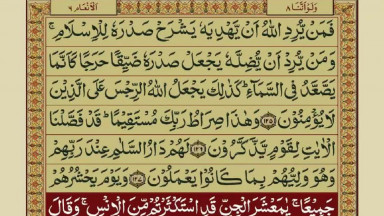 Quran Para08 30 Urdu Translation