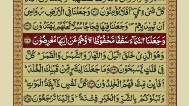 Quran Para17 30 Urdu Translation