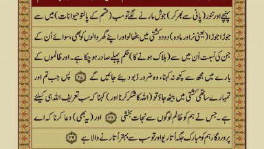 Quran Para18 30 Urdu Translation