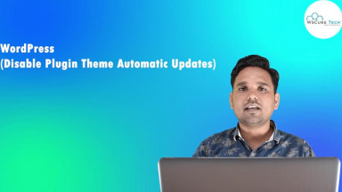 How to Disable Automatic Updates in WordPress - WordPress Tutorial
