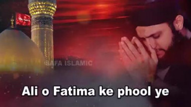 05 Hafiz Tahir Qadri   Mere Hussain Salam   Heart Touching Muharram Kalam   Lyrical Video  Safa Islamic